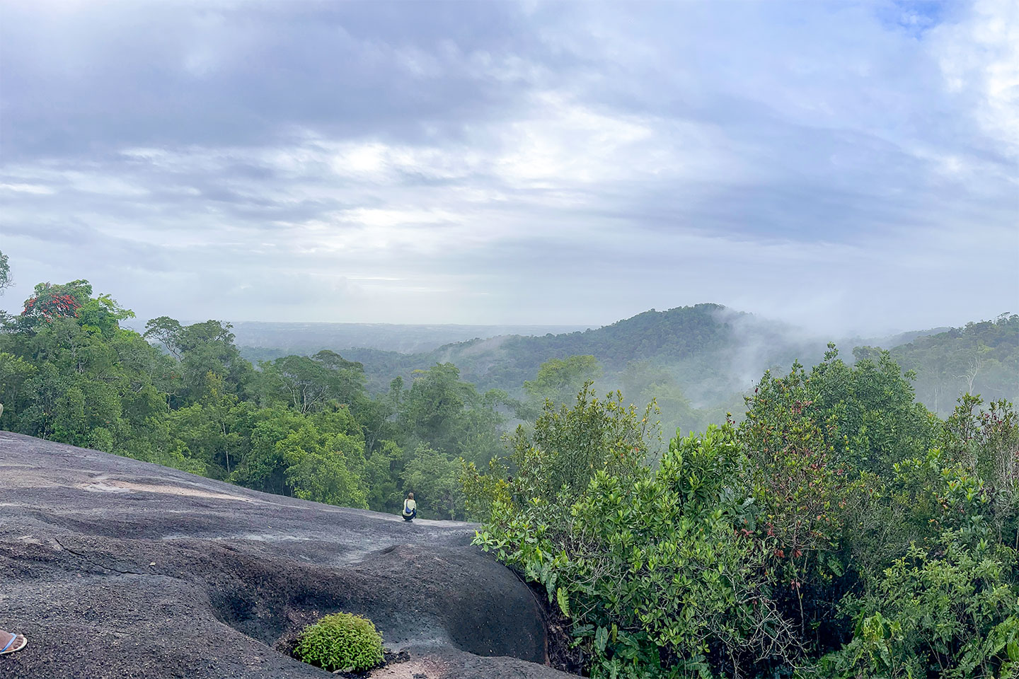 Ausblick vom Fredberg über den Amazonas Regenwald, über den Nebelschwaden ziehen