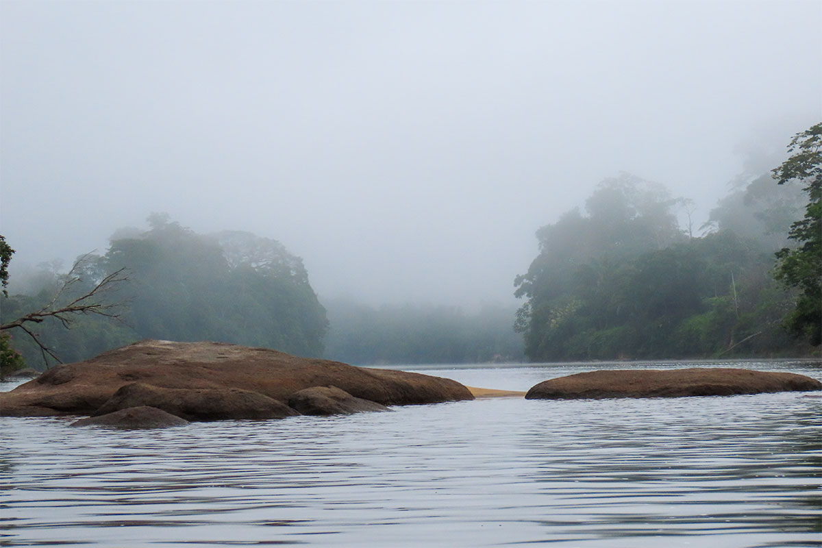 Nebel über dem Suriname River