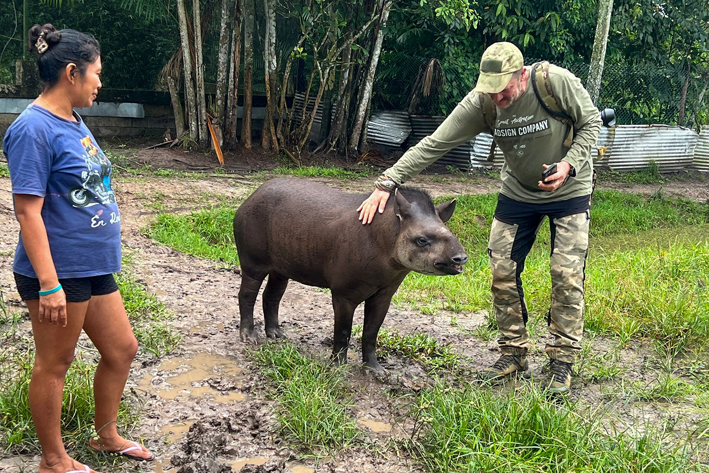 Ein Höhepunkt unserer Suriname Reise: Ich durfte ein Tapir streicheln