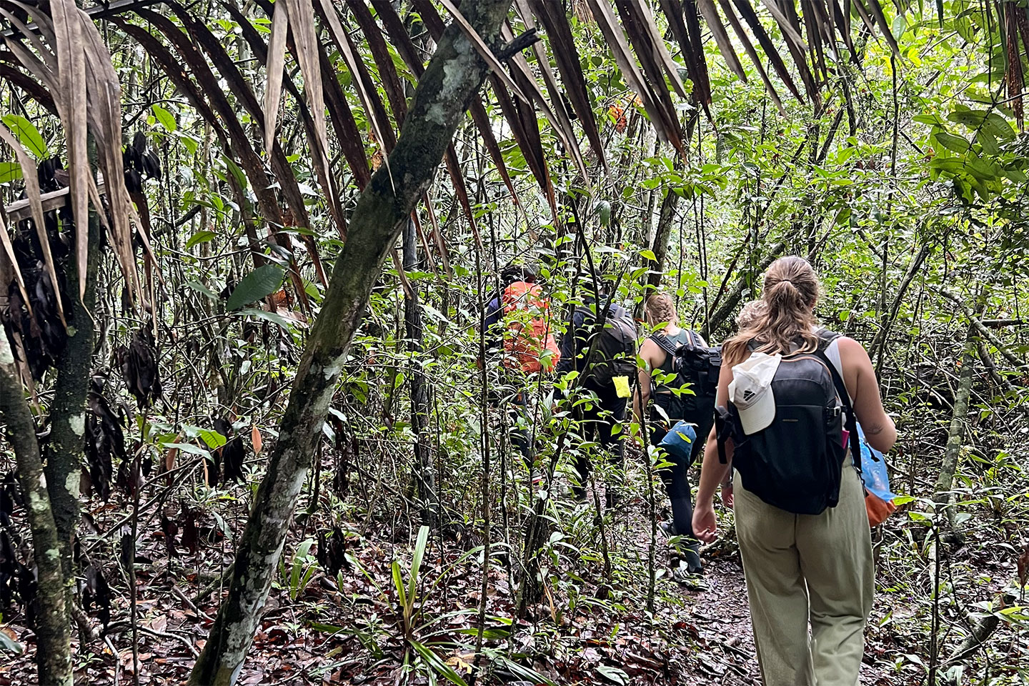 Unsere Gruppe beim Wandern durch den Regenwald