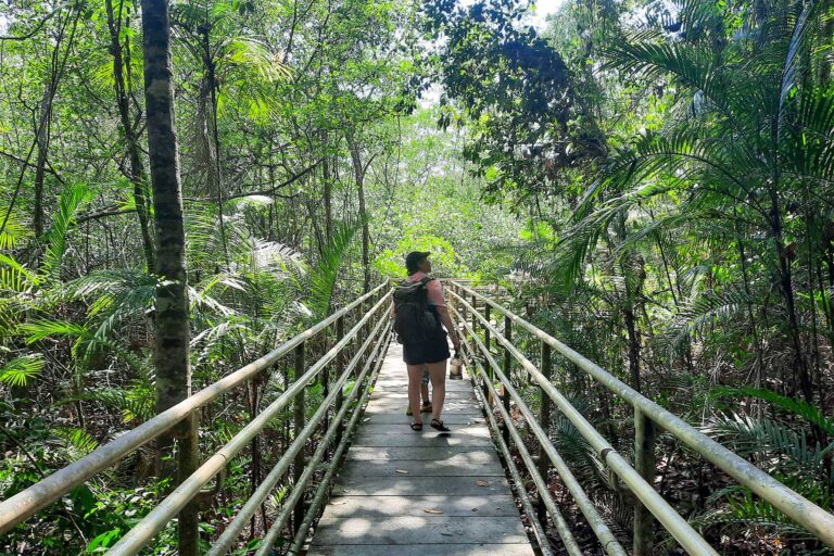 Besucher des Manuel Antonio Nationalparks laufen über einen Holzsteg und blicken in die Baumkronen.