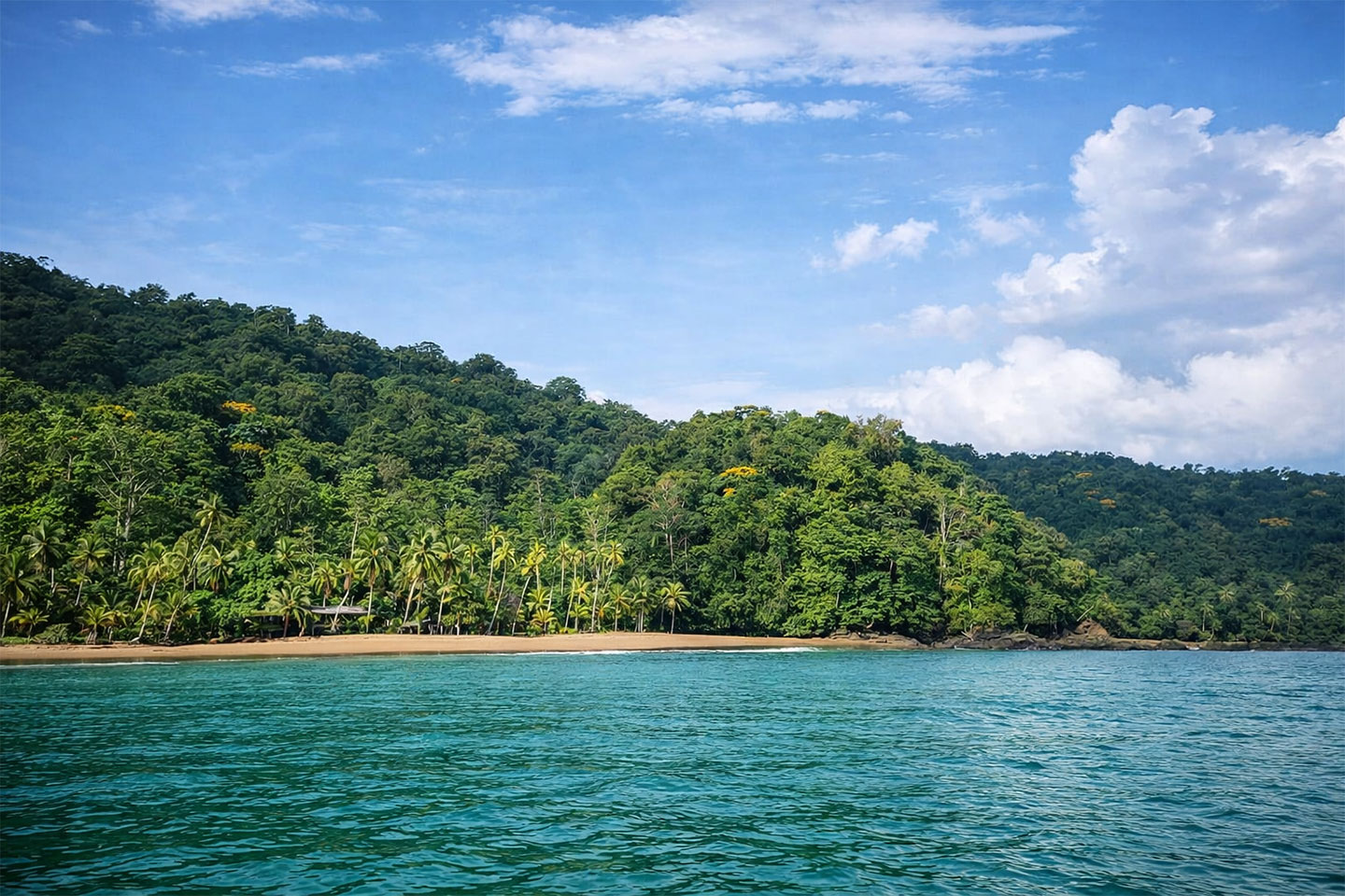 Bild: LatinConnect 12/2025 – Kolumbien Galerie – Tags: Kolumbien Pazifikküste, Regenwald, Nuqui