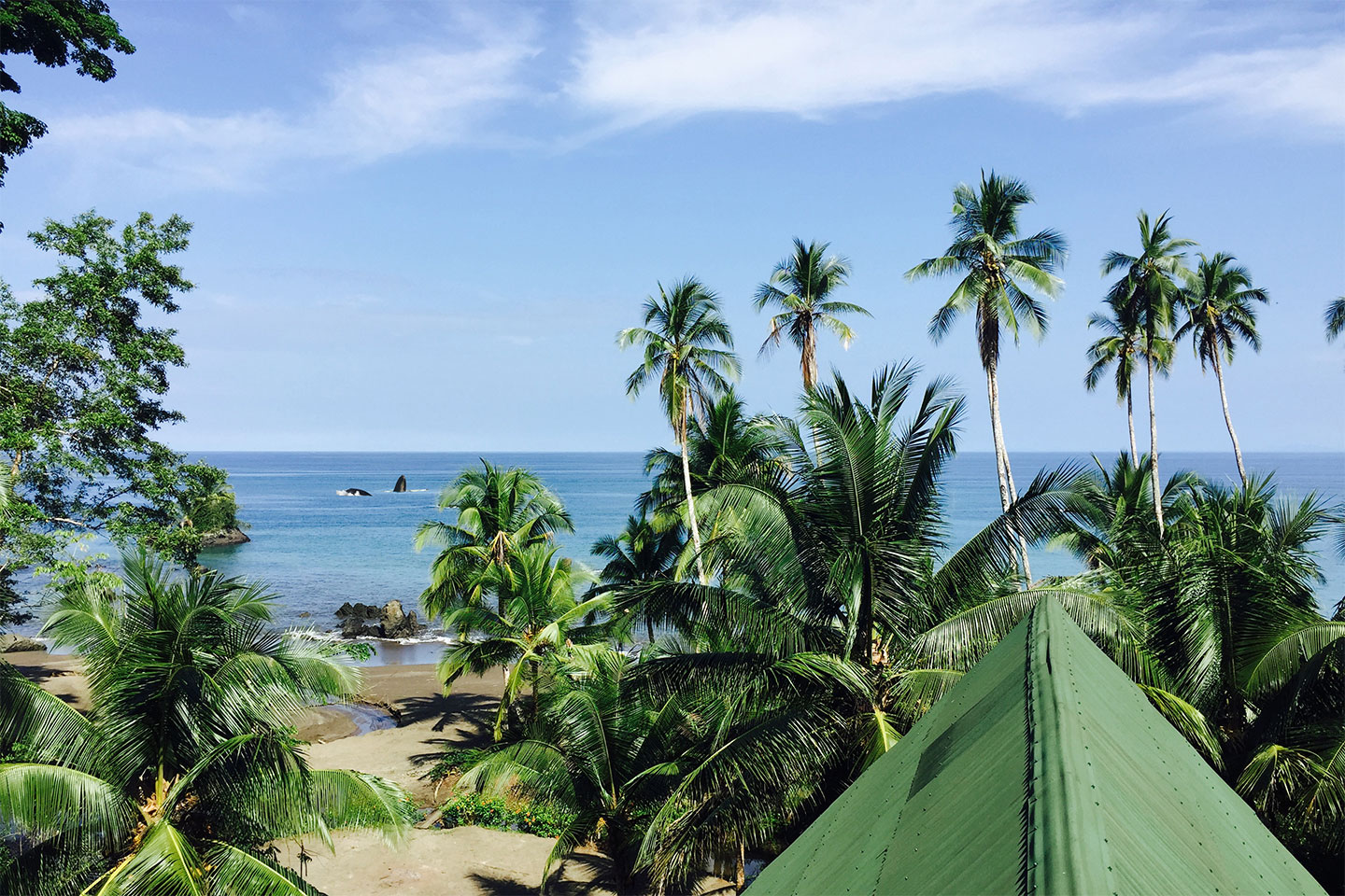 Nuqui-La-Kuka-Wale-in-der.Bucht