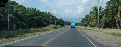 Blick aus einem Mietwagen: eine typische Überlandstraße in Costa Rica.Asphaltiert, vor dem Mietwagen fährt ein Bus. Am Straßenrand: Palmen