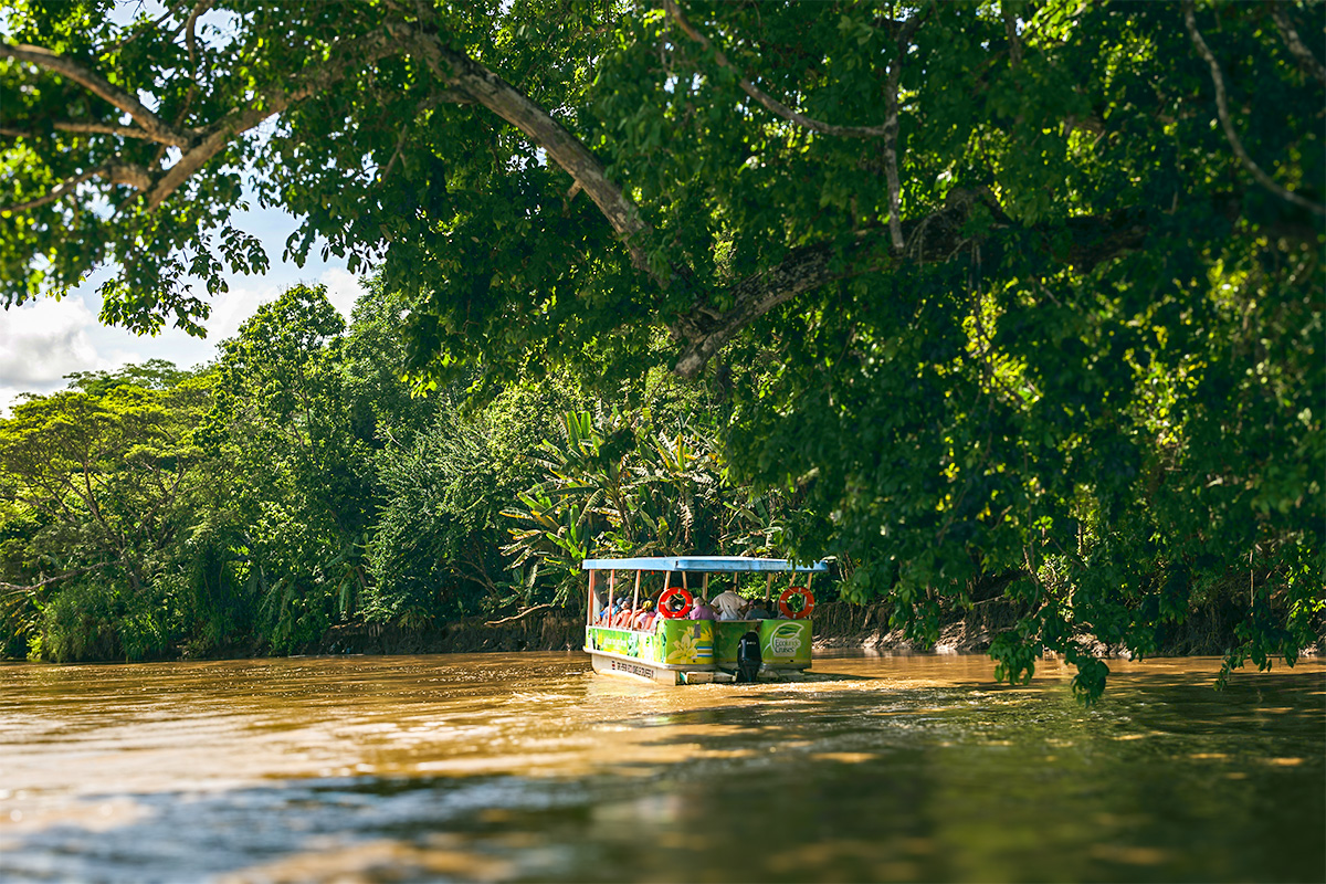 Boot mit Reisenden auf einer geführten Bootstour auf dem Río Tárcoles in Costa Rica, umgeben von dichtem tropischem Regenwald entlang des Flussufers.