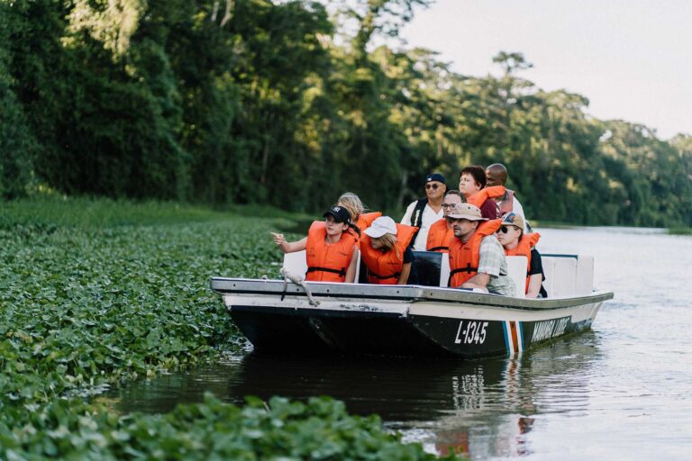 Eine Gruppe auf Bootstour durch die Kanäle des Tortuguero Nationalparks.