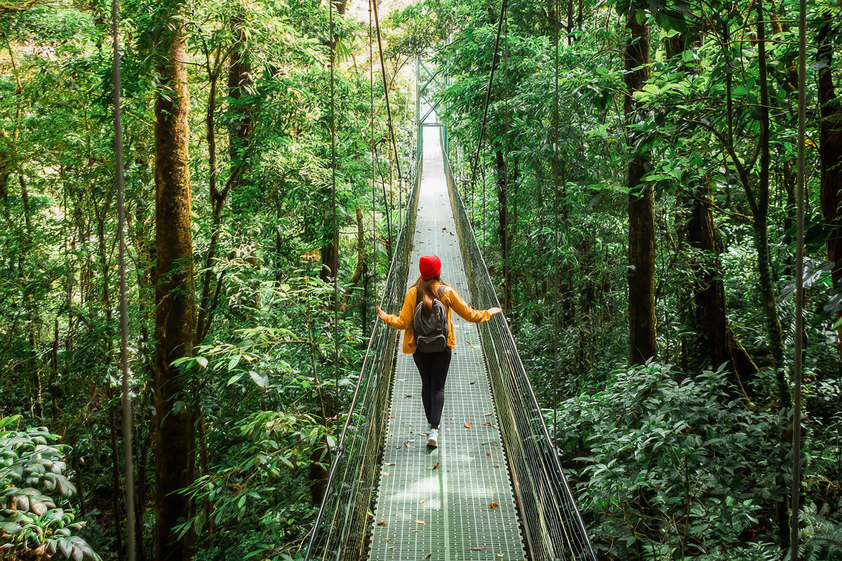 Eine Frau geht über eine Hängebrücke im Monteverde Nebelwald