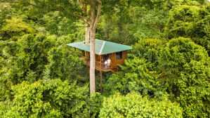 Baumhaus der Maquenque Lodge in Costa Rica, eingebettet in den tropischen Regenwald, mit Gästen auf der Terrasse – eine besondere Unterkunft für Naturreisen in Costa Rica.