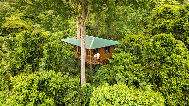 Baumhaus der Maquenque Lodge in Costa Rica, eingebettet in den tropischen Regenwald, mit Gästen auf der Terrasse – eine besondere Unterkunft für Naturreisen in Costa Rica.