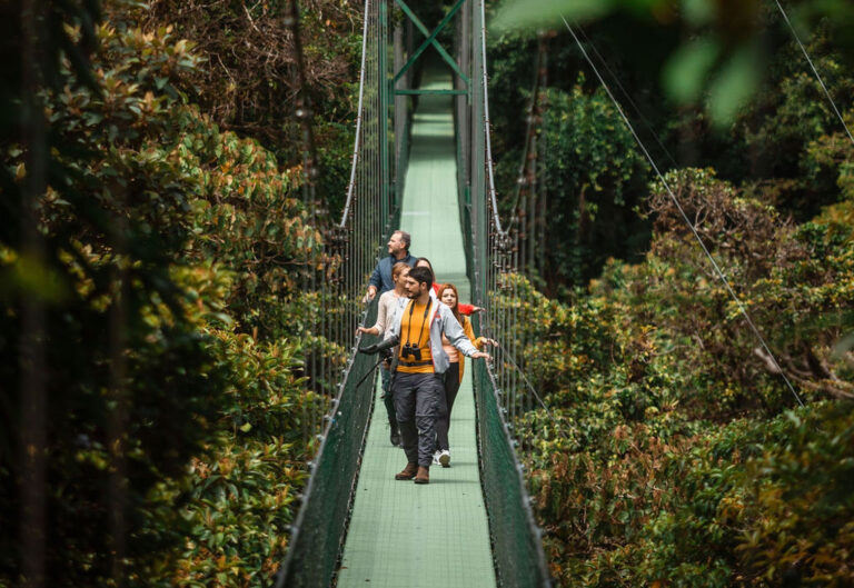 Reiseleiter geht mit Gruppe über eine Hängebrücke im Regenwald von Costa Rica