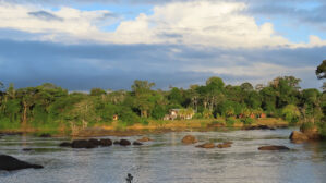 Blick über einen Fluss auf eine Lodge im Regenwald Surinames – umgeben von dichtem Grün und weitem Abendhimmel