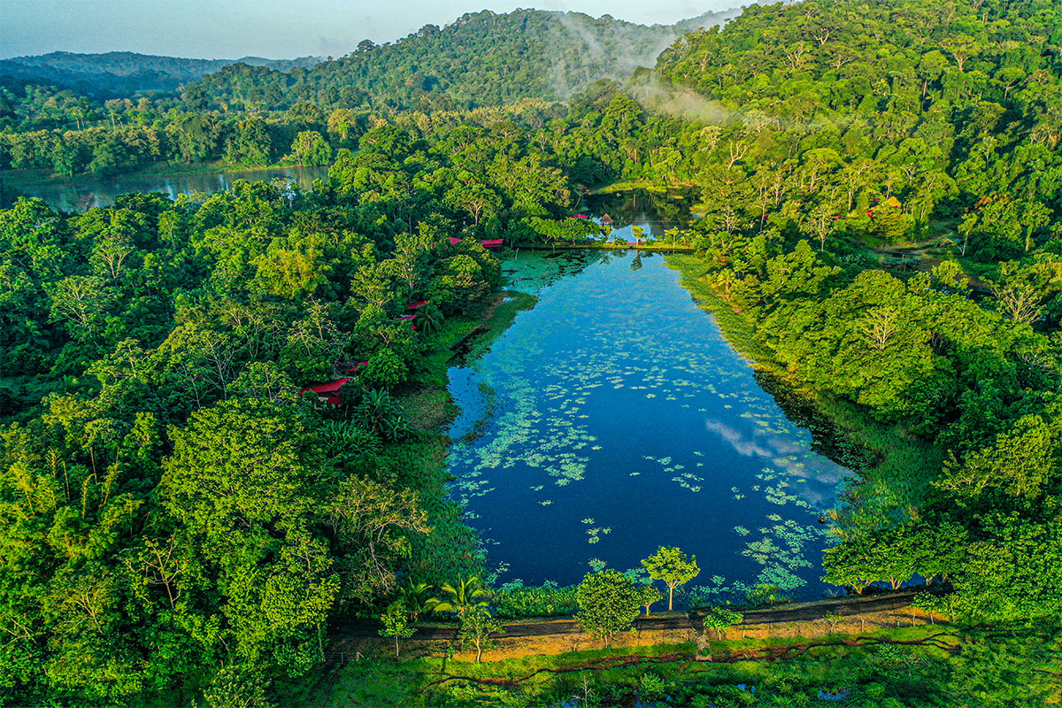 Lagune der Maquenque Lodge in Costa Rica aus der Vogelperspektive, umgeben von dichtem tropischem Regenwald und sanften Hügeln – eine idyllische Unterkunft für Naturreisen in Costa Rica.