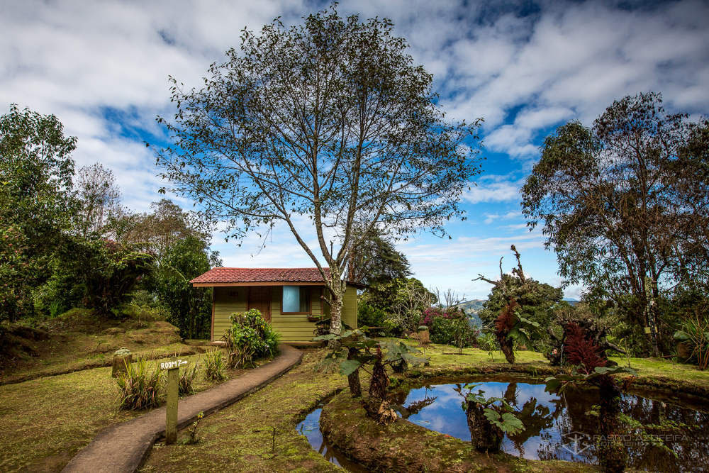 Blick auf einen Gäste-Bungalow. Der Bungalow liegt in einem angelegten Garten mit Bäumen und kleinem Teich.
