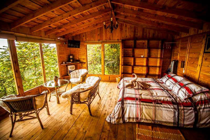 Holzverkleidetes Zimmer mit Bett und Stühlen und einer großen Fensterfront mit Ausblick auf Hügel und Bäume.