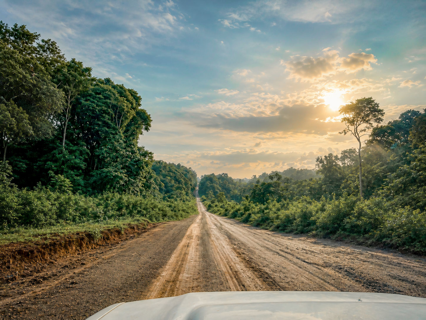 Unbefestigte Straße durch den Regenwald von Suriname bei tief stehender Sonne, aufgenommen aus einem Geländewagen während einer Rundreise durch das Landesinnere.