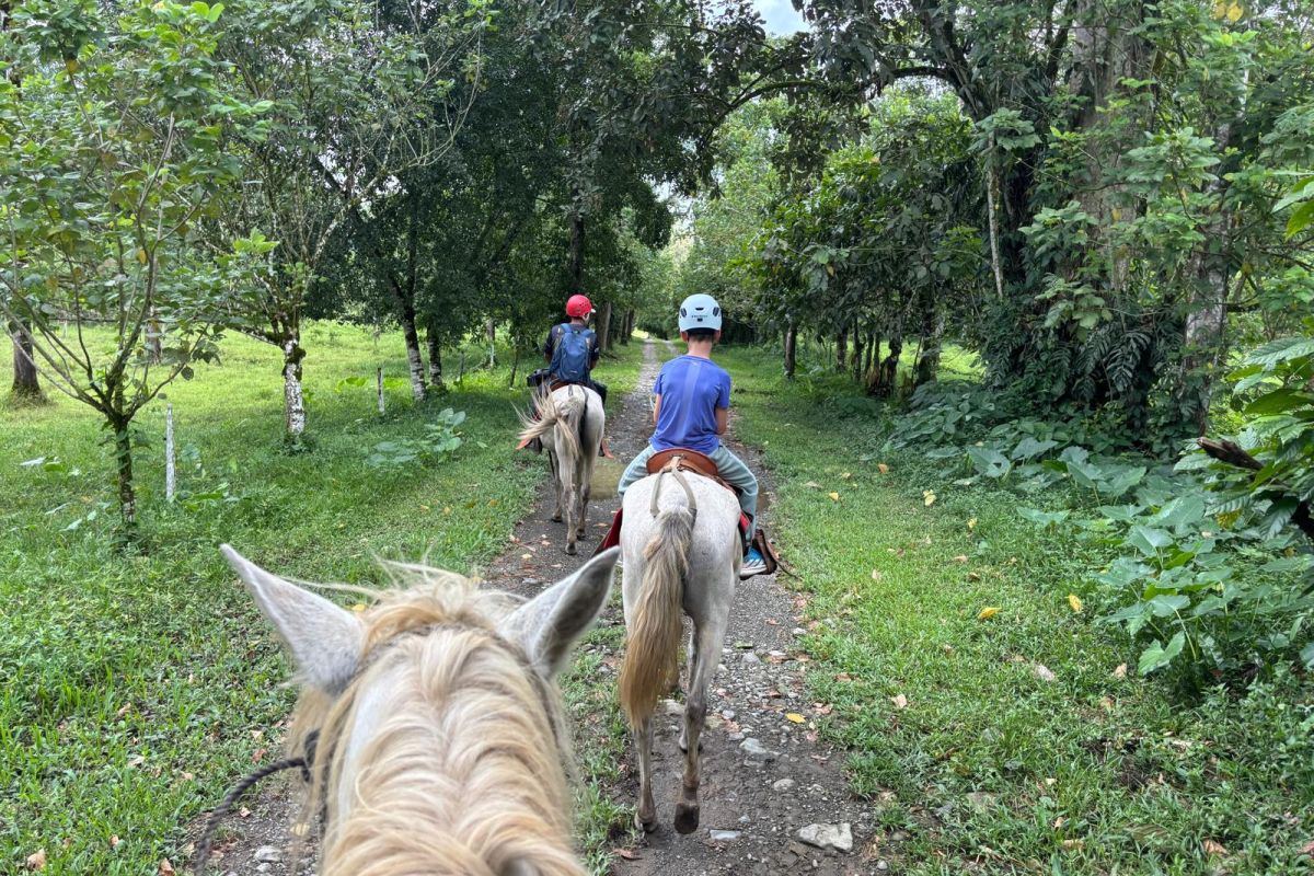 Zwei Personen reiten mit Helmen auf einem schmalen Pfad durch eine grüne Tropenlandschaft während einer Naturreise in Costa Rica.