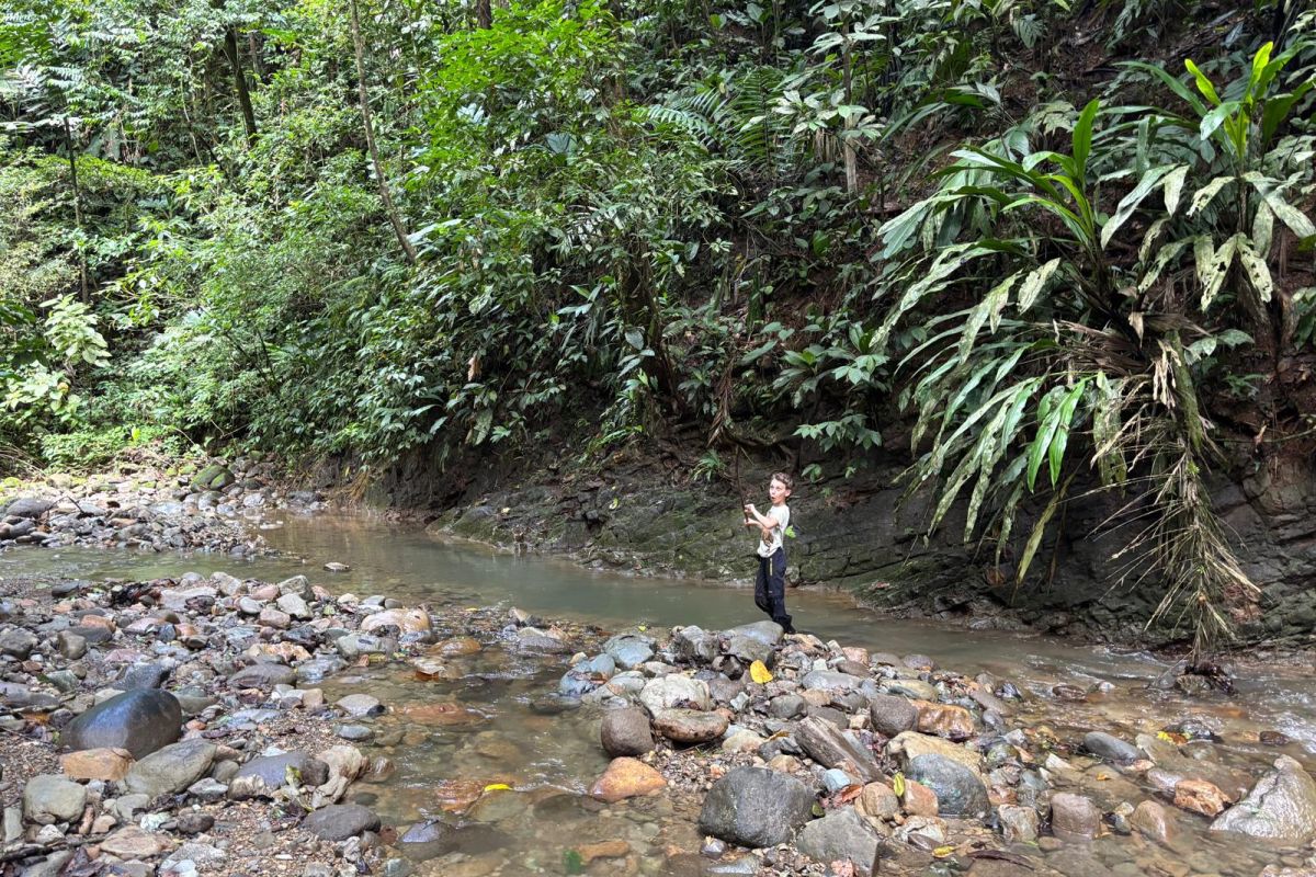 Ein Kind steht auf Steinen in einem flachen Bach mitten im dichten Regenwald während einer Naturreise in Costa Rica.