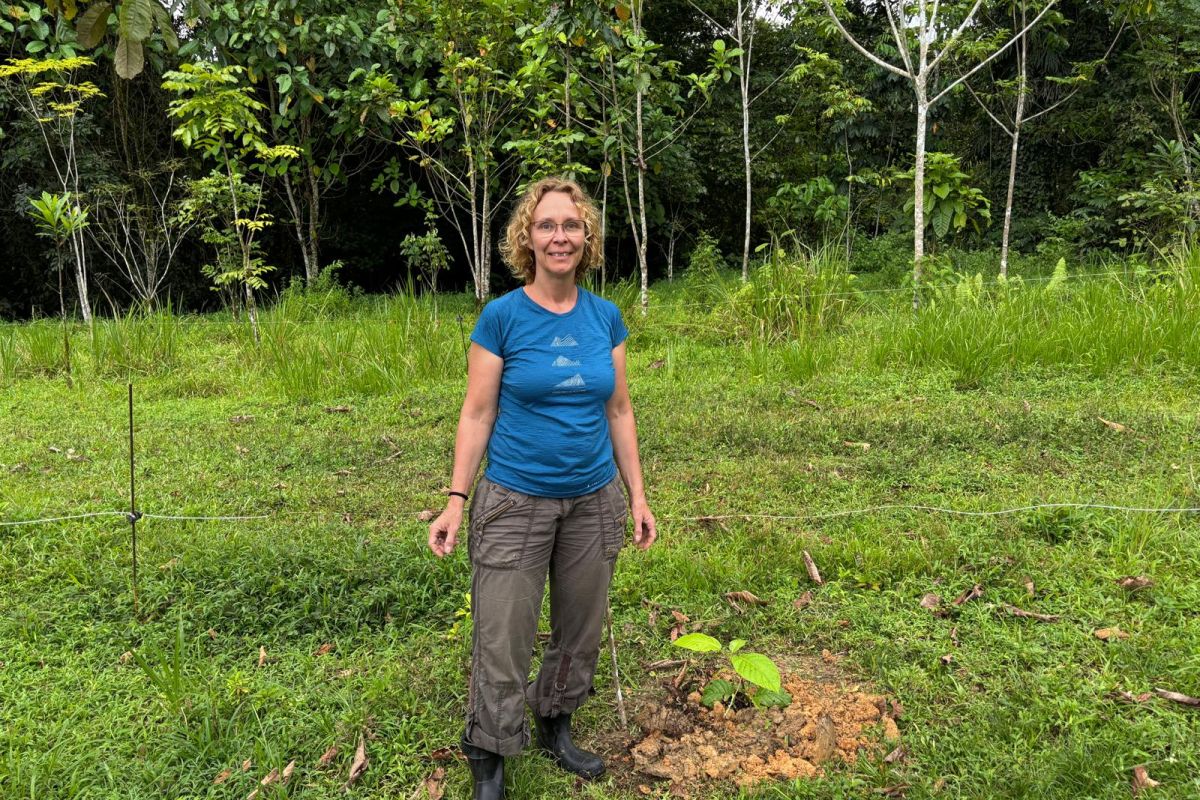 Geschäftsführerin Stefanie Lange steht neben einem frisch gepflanzten Setzling auf einer grünen Fläche vor Regenwaldkulisse in Costa Rica.
