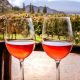 Argentinien-Reise-Menoza-Anden-Wein