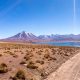 Chile-Mietwagenreise-Hochland-Lagunen