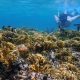 Costa-Rica-Reise-Karibik-Schnorcheln