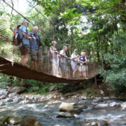 Große Costa Rica Naturreise Februar 2011