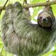 Cotsa-Rica-Reise-zum-Kennenlernen