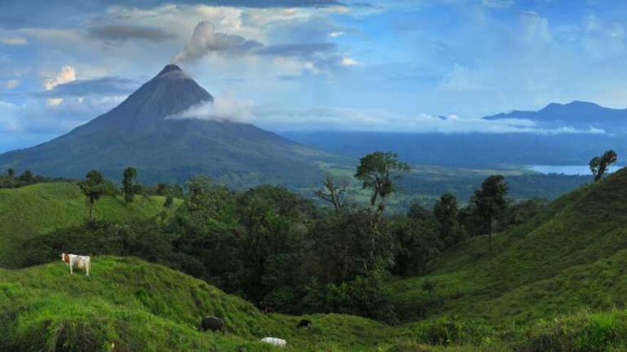 Birdwatching beim Vulkan Arenal