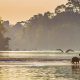 Manu-Nationalpark-Reisemodul-Thumbnail