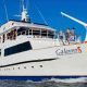 Motoryacht-Galaven