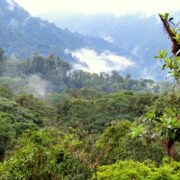 Santa Lucia Nebelwald Ecuador