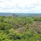 Tikal-Zotz-Dschungelwanderung