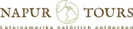cropped-napur-Tours-Logo.png