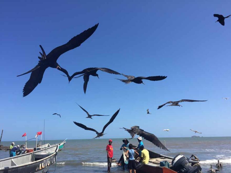 Küste bei Chitre mit Rückkehr der Fischboote